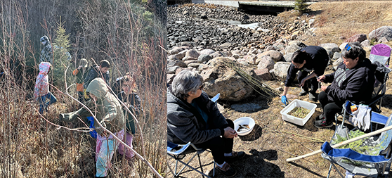 Beauval Youth Camp 2.png (355 KB)